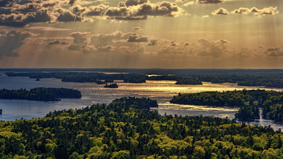 The First Steps On My&nbsp;Journey