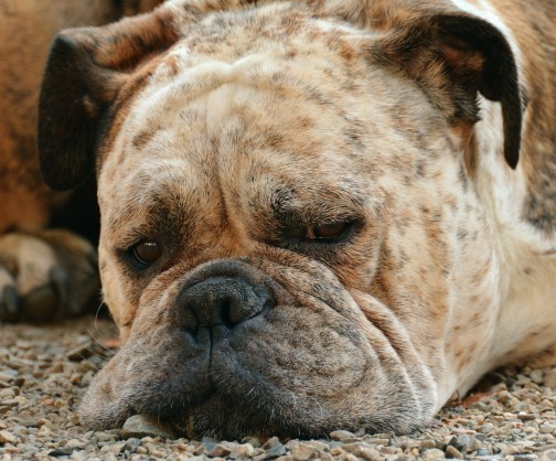 Stop struggling is like trying to stop breathing.